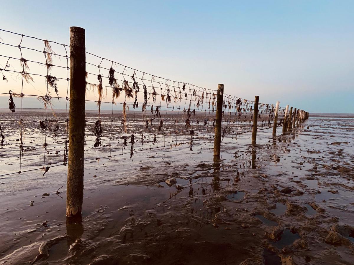 Ferien Im Wangerland Ferienwohnung Leuchtturm Minsen Schillig Hund Pool Sauna Norderaltendeich Exteriör bild
